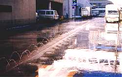 Street Pissers in Nagaoka