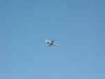 america-md80-dfw019101.jpg (42714 bytes)