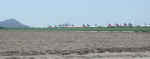 pimaaripark-042104-01.jpg (33468 bytes)