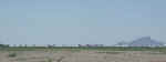pimaaripark-042104-03.jpg (24416 bytes)