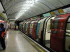 Jubilee