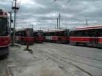 ttc-lr-yard-050302-06.jpg (329332 bytes)