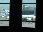 sfo-hr-sfo-031204-04.JPG (555166 bytes)