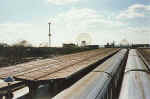 nyc-hr-sta-coney-1998-01.jpg (58886 bytes)