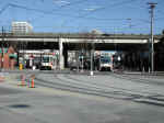 pdx-lr-dwn-rose-021502-11.jpg (395185 bytes)